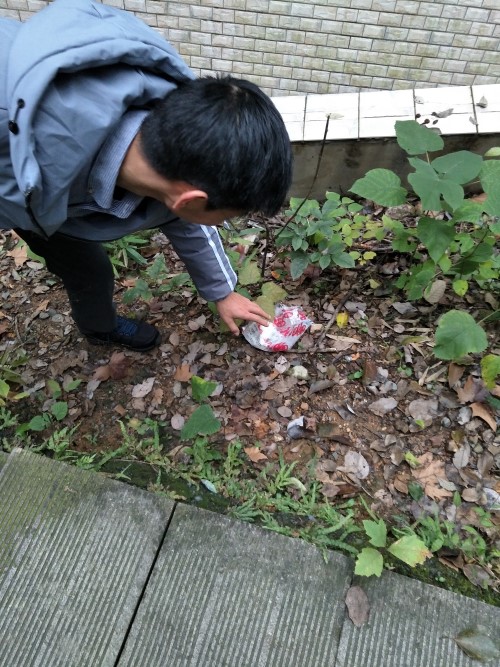 5bf5307828253.jpg 照片二.jpg